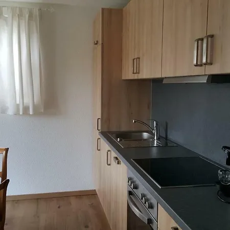 Komfort Appartement Panoramaweg Waldenbuch Extérieur photo